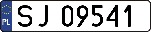 SJ09541