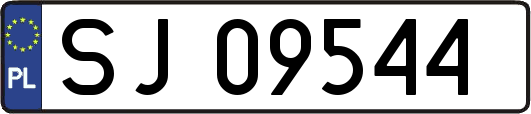 SJ09544