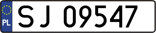 SJ09547