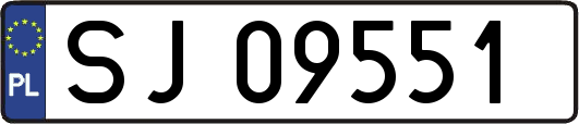 SJ09551