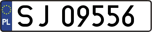 SJ09556