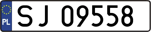 SJ09558