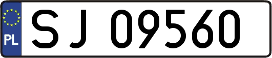 SJ09560