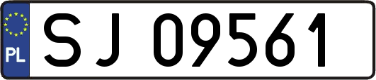 SJ09561