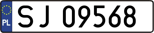 SJ09568