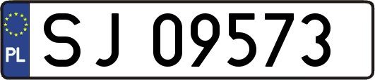 SJ09573