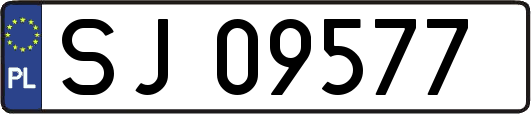 SJ09577