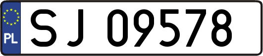 SJ09578