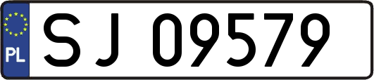 SJ09579