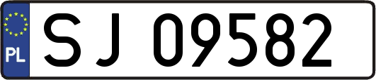 SJ09582