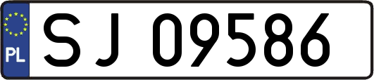 SJ09586