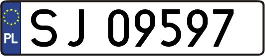 SJ09597