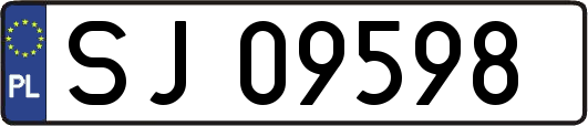 SJ09598