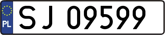SJ09599