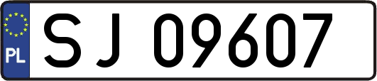 SJ09607