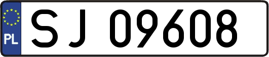 SJ09608