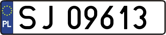 SJ09613