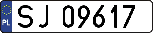 SJ09617
