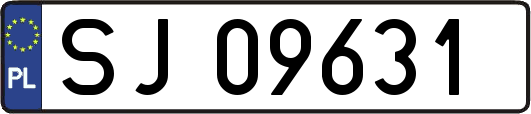 SJ09631