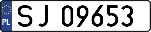 SJ09653