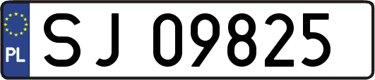 SJ09825