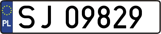 SJ09829