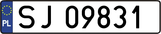 SJ09831