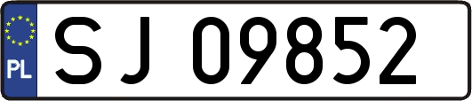 SJ09852