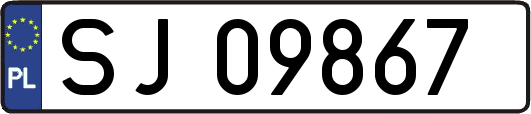 SJ09867