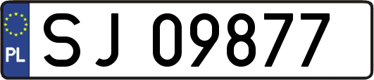 SJ09877