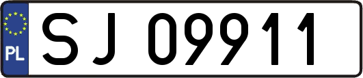 SJ09911