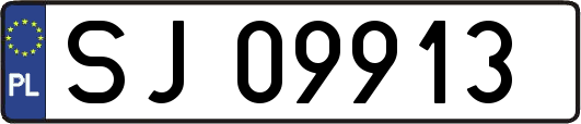 SJ09913