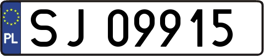 SJ09915