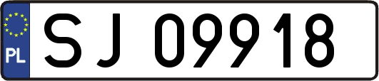 SJ09918