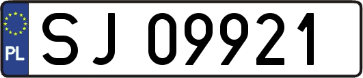 SJ09921
