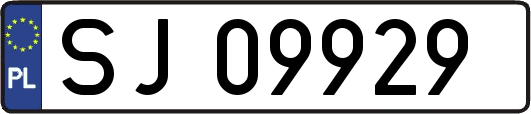 SJ09929