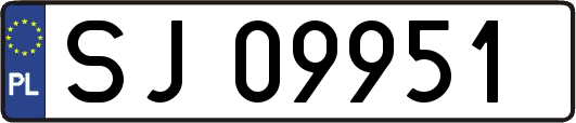 SJ09951