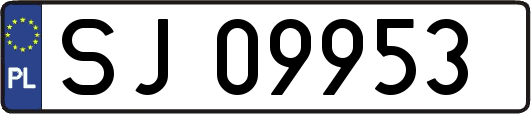 SJ09953