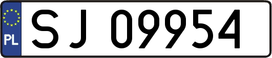 SJ09954