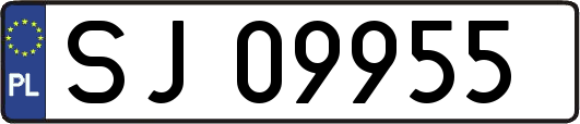 SJ09955