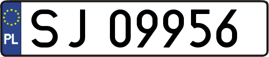 SJ09956