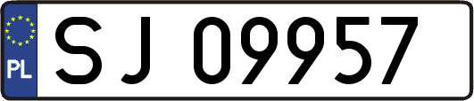 SJ09957