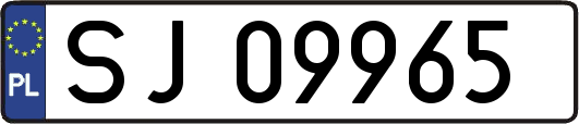 SJ09965