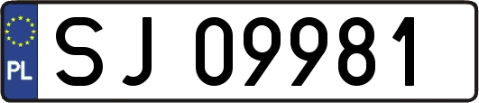 SJ09981
