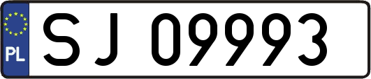 SJ09993