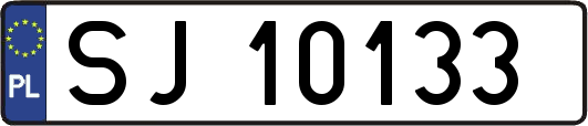 SJ10133