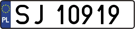 SJ10919