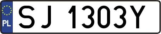 SJ1303Y