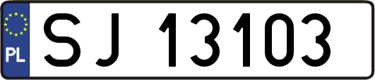 SJ13103