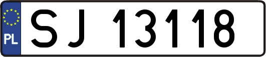 SJ13118